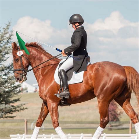 How to Use a Horse Training Flag: Unlock the Power of the Flag Technique