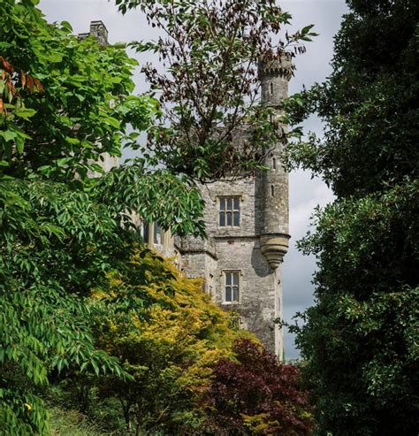 Gallery - The Hall and Lismore Castle