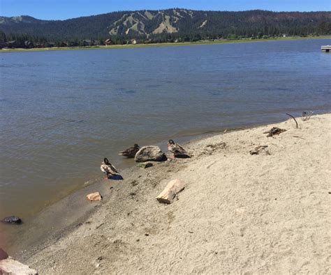 Conquering the Hiking Trails Near Big Bear Lake, California - Those Someday Goals