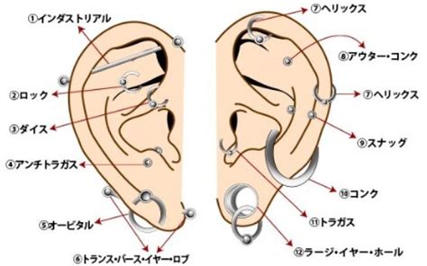 ピアス 位置 タイピング練習の「マイタイピング」