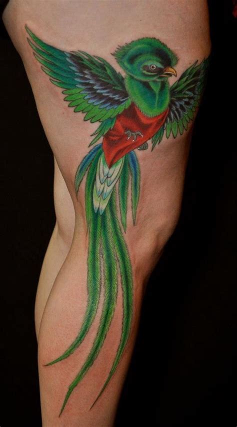 Quetzal Bird Tattoo Quetzal Tattoo Bird Tattoo Meaning Birds Tattoo