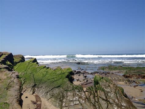 Tidepools, Crystal Cove State Beach, Laguna, California. | Beach ...