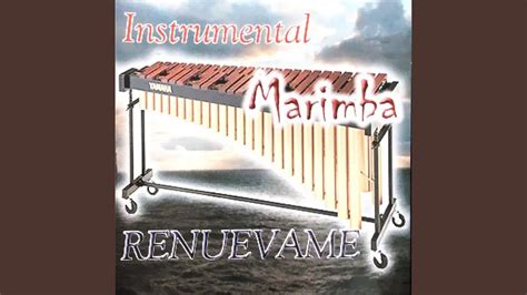 Quiero Cantar Una Linda Canci N Instrumental Youtube