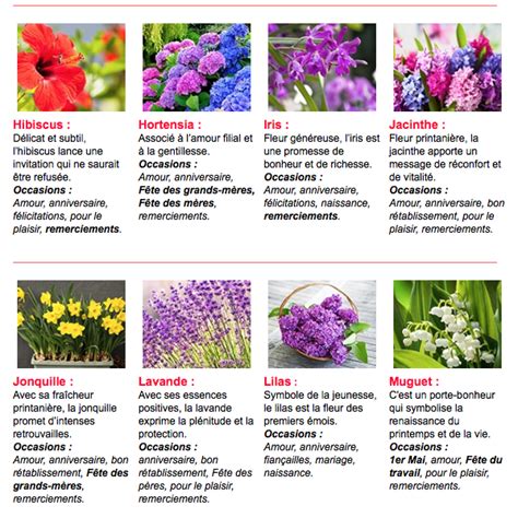 Le Langage Des Fleurs Espace Plantes Jardinerie Fleuriste Producteur