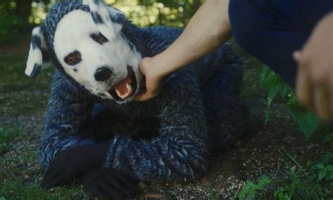 Good Boy Usa Hist Ria Homem Cachorro Para Fazer Filme Terror Bizarro