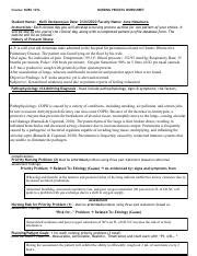 N101L Nursing Process Worksheet 1 Pdf Course NURS 101L NURSING