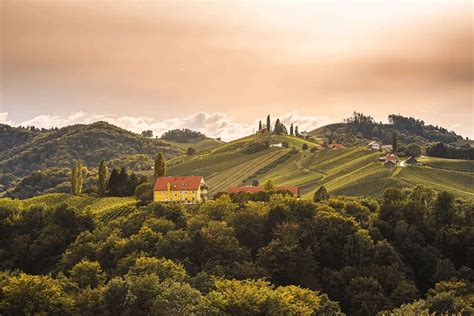 New Housing Measures In Styria