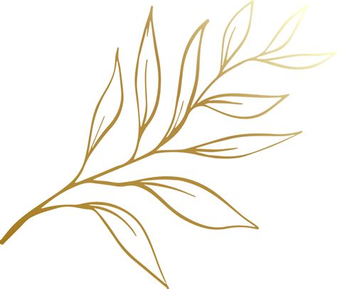 Free Gold Leaf Line 12414918 Png With Transparent Background