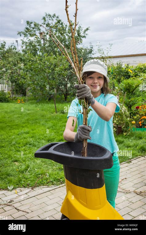 Garden Shredder Mulch Hi Res Stock Photography And Images Alamy