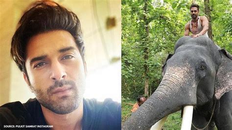 Pulkit Samrat introduces Unni elephant from 'Haathi Mere Saathi': 'We ...