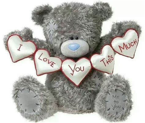 Taɬɬy Teddy‿ ⁀• I Love You This Much Heart Banner Tatty Teddy