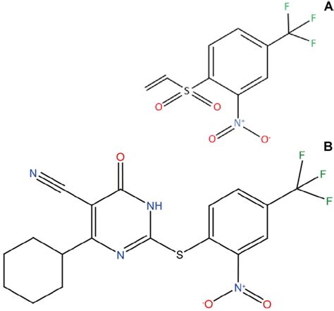 Inhibition of α Synuclein Aggregation and Mature Fibril Disassembling With a Minimalistic