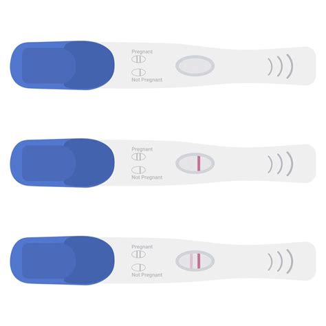 Pregnancy Test On White Background Vector Set Illustration Positive And Negative Results