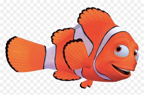 Baby Dory Transparent Background Art Fidgety