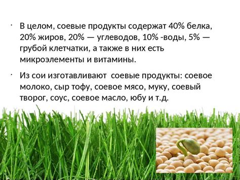 Продукты из сои: список, польза и вред. мадам соя