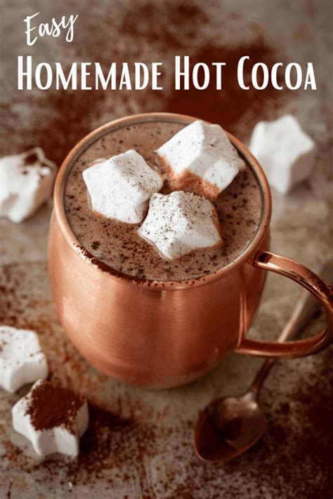 Homemade Hot Cocoa An Alli Event