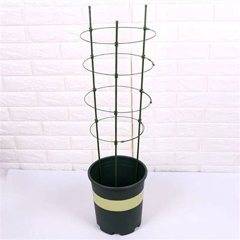 45Cm Conische Groenten Planten Trellis Plant Onder Grandado