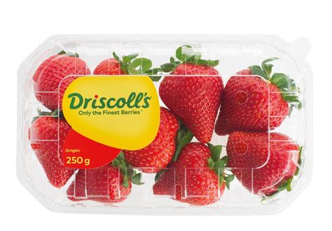 Buy Driscoll S Strawberry Usa G Online In Uae Talabat Uae