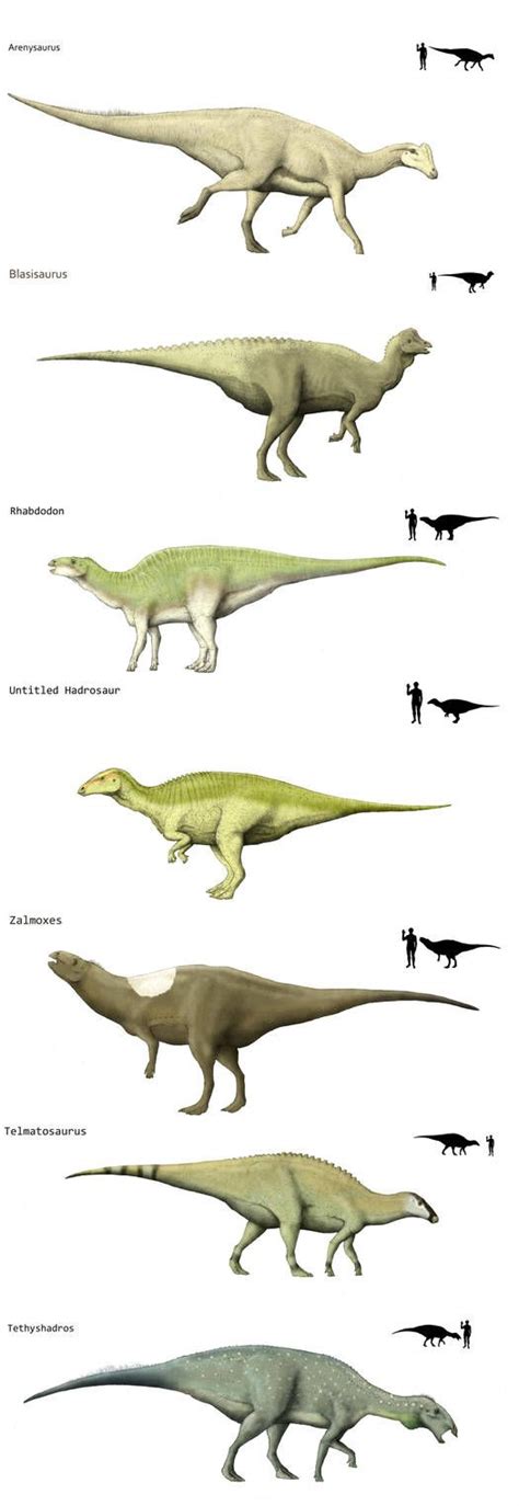 Island ornithopods 2 by Hyrotrioskjan | Dinosaur fossils, Prehistoric ...