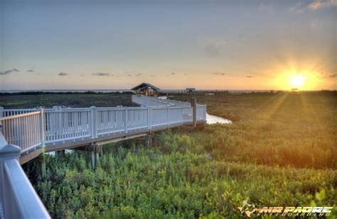 Bird-walks on the boardwalks at the South Padre Island Birding & Nature ...