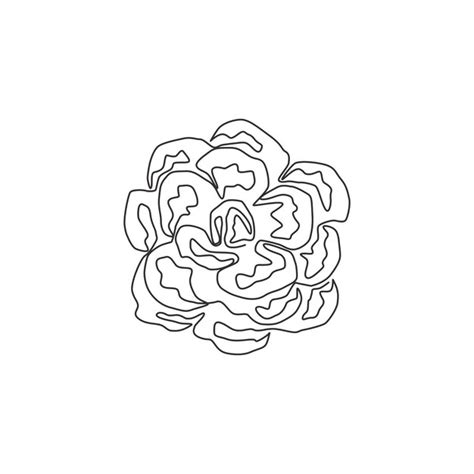 Premium Vector Single One Line Drawing Beauty Fresh Carnation For