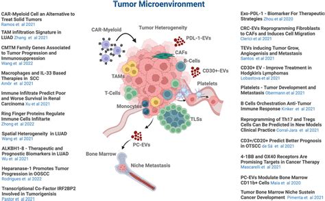 Frontiers Editorial Tumor Microenvironment Tme And Tumor Immune