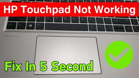 How To Fix Hp Touchpad Not Working In Windows Hp Laptop