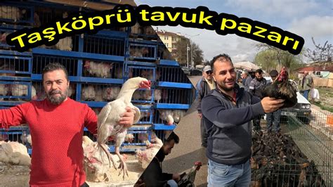 Taşköprü tavuk pazarında hindiler civcivler tavuklar gene hepsi