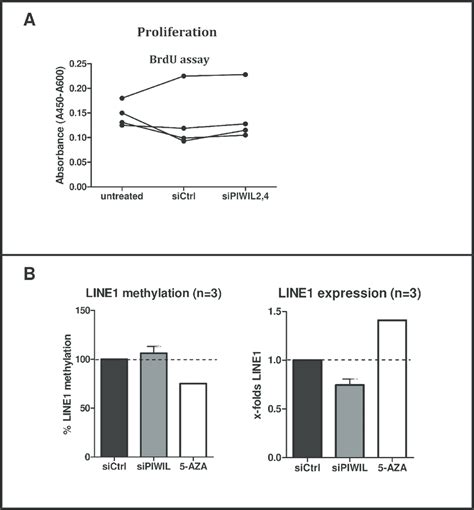 Effects Of Piwil Silencing On Proliferation And Methylation A Cell