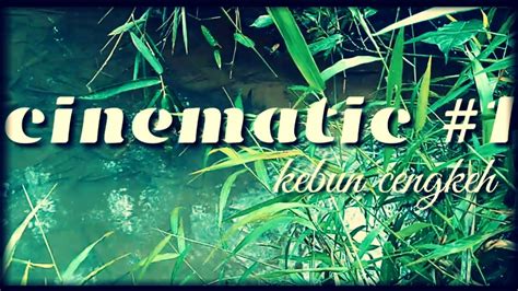 Kebun Cengkeh Cinematic Video 1 YouTube