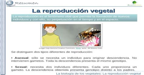 La reproducción vegetal PPT Powerpoint