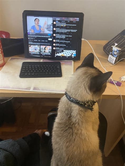 𝖆𝖌𝖔𝖓𝖎𝖊𝖘 on Twitter theyre ass is NOT studying