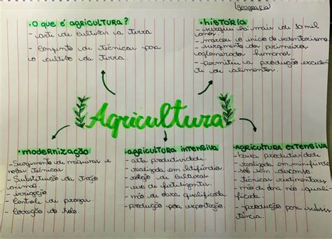 Agricultura Mapas Mentais Mapa Mapa Mental