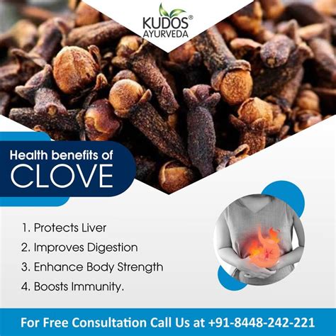 Benefits Of Clove Indian Food Recipes Cloves Benefits Food