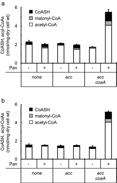 And Malonyl Acetyl Coa Co Aa