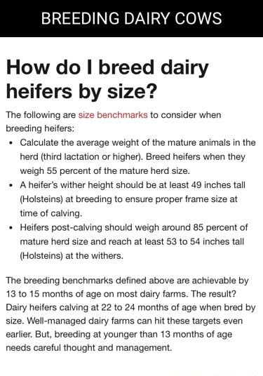 Breeding Dairy Cows How Do I Breed Dairy Heifers By Size The Following