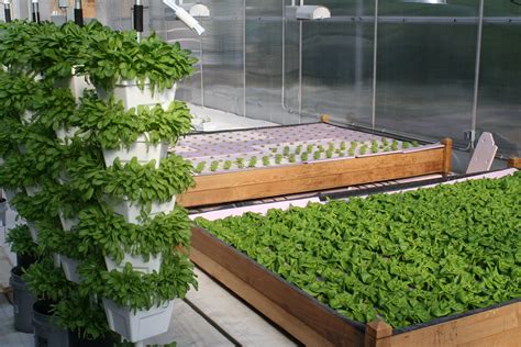 Vertical And Floating Bed Hydroponic Lettuce Production Hydroponic