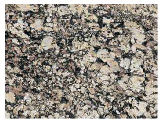 Rectangular Polished Pegasus Brown Granite Slab For Construction Size