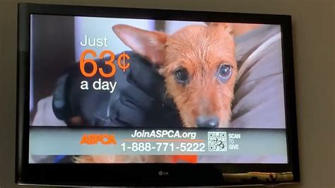 ASPCA Commercial 2022 YouTube