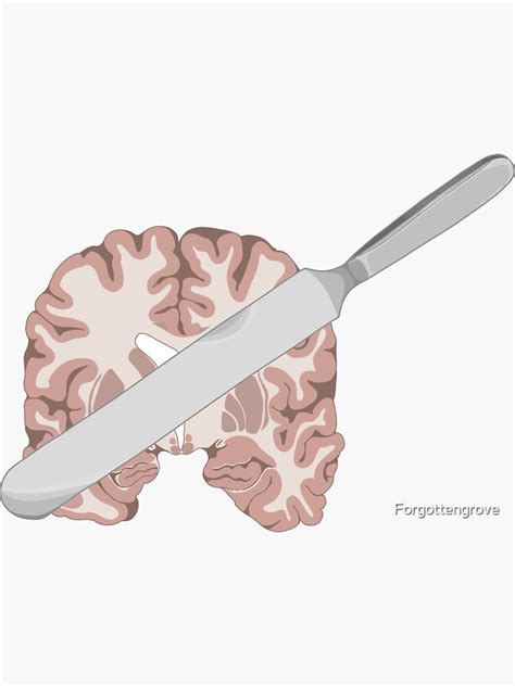 Brain Cutting Sticker For Sale By Forgottengrove Redbubble