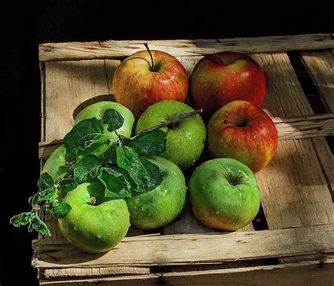 Still Life Apples Box · Free Photo On Pixabay