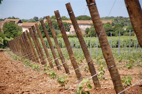 Fournitures De Palissage De Vigne Vitigad