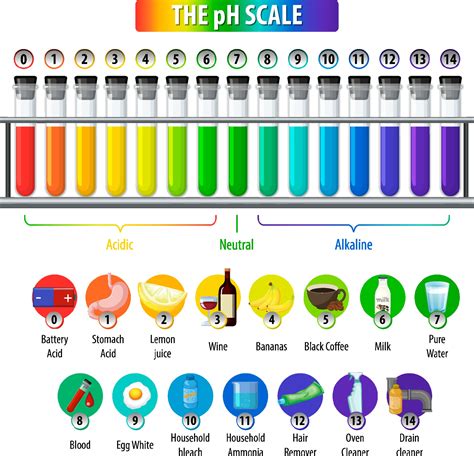 A pH scale on white background 1928682 Vector Art at Vecteezy