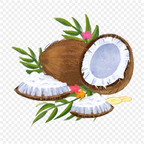 Tropical Coconut Clipart Hd Png Tropical Plant Green Leaves Real