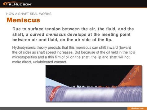 Understanding The Function Of Radial Lip Shaft Seals