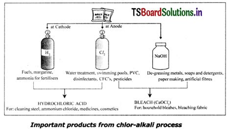 TS 10th Class Physical Science Important Questions Chapter 3 Acids