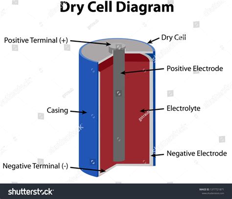 Dry Cell Diagram Stock Vector (Royalty Free) 1377721871 | Shutterstock