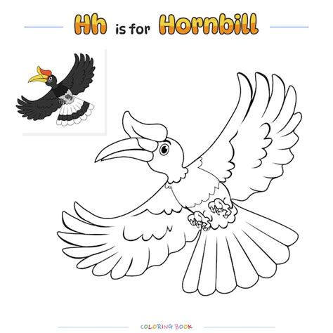 Premium Vector Coloring Page Hornbill Bird Cartoon