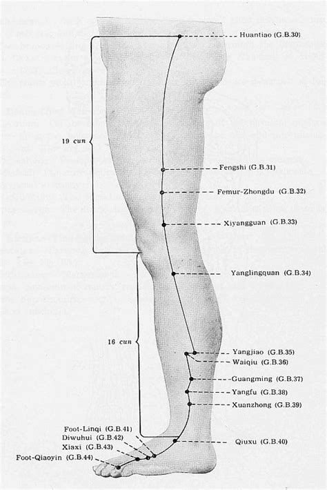 Acupuncture Points Leg Acupuncture Gall Bladder Channel Indication