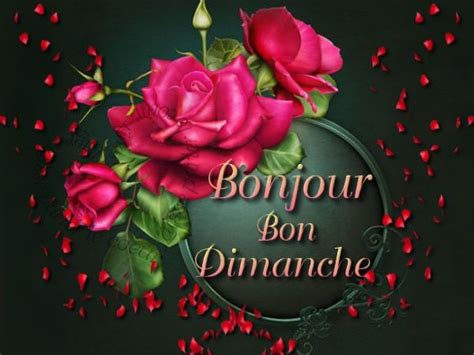 Bonjour Bon Dimanche Images Bon Dimanche Bon Dimanche Bonjour Et